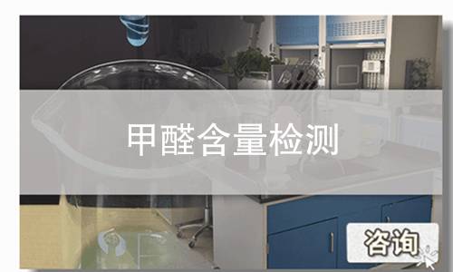 甲醛含量检测