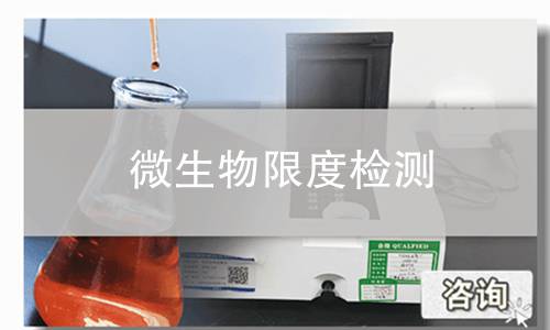 微生物限度检测